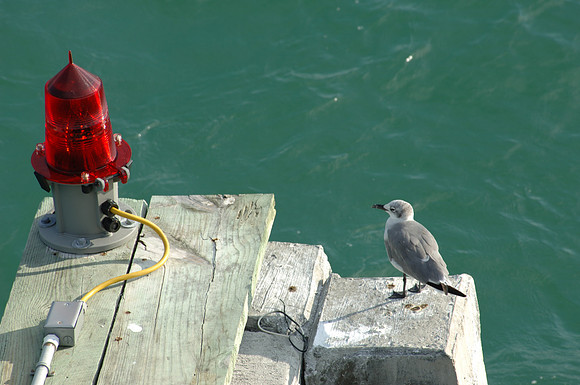 DSC4_0223_S_Beach_FL_10_06