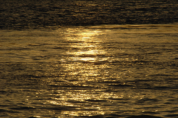 DSC_0430
