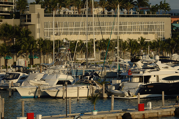 DSC_0380