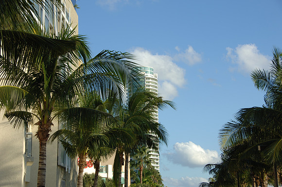DSC_0347