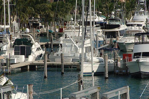 DSC4_0168_S_Beach_FL_10_06