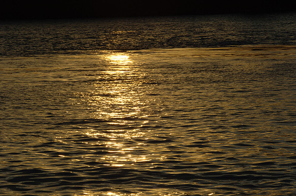 DSC_0427