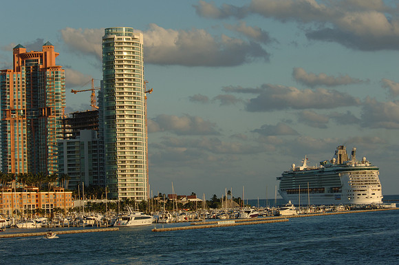 DSC_0398