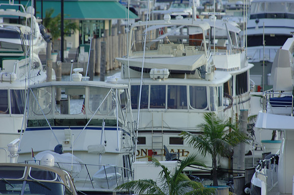 DSC_0369