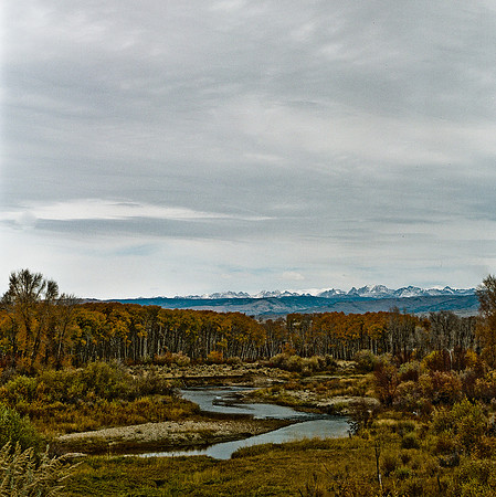6081_COLOR_SQ_GRAND_TETON_WY_USA_05_5