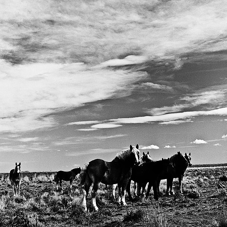 6078_FM_BW_WY_05_8