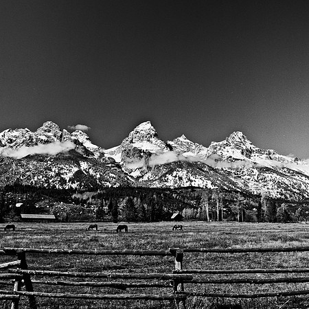 6073_FM_BW_WY_05_3