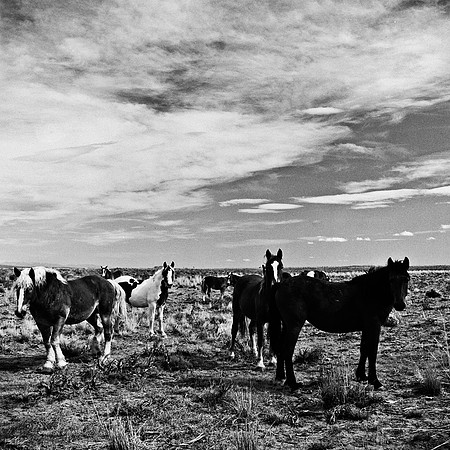 6078_FM_BW_WY_05_2