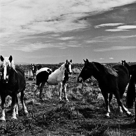 6078_FM_BW_WY_05_6
