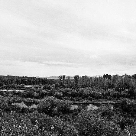 6079_FM_BW_WY_05_9