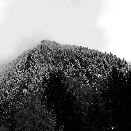 6082_FM_BW_WY_05_5