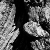 6069_FM_BW_WY_05_3