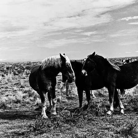 6078_FM_BW_WY_05_7