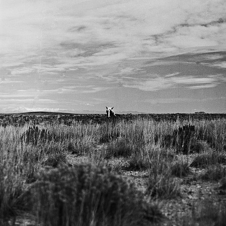 6079_FM_BW_WY_05_5