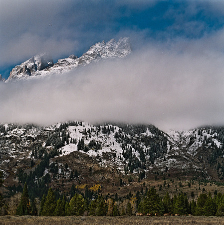 6068_FM_COLOR_WY_05_1