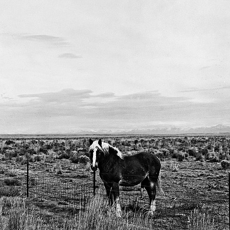 6078_FM_BW_WY_05_10