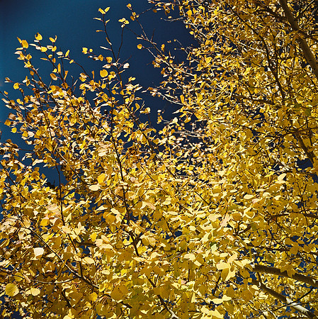 6070_FM_COLOR_WY_05