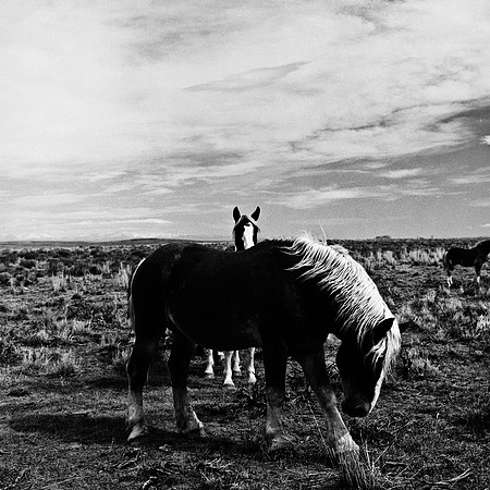 6078_FM_BW_WY_05_5