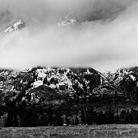 6071_FM_BW_WY_05_10