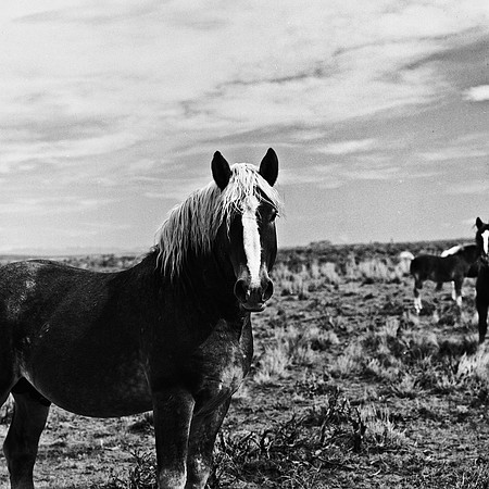 6078_FM_BW_WY_05_3