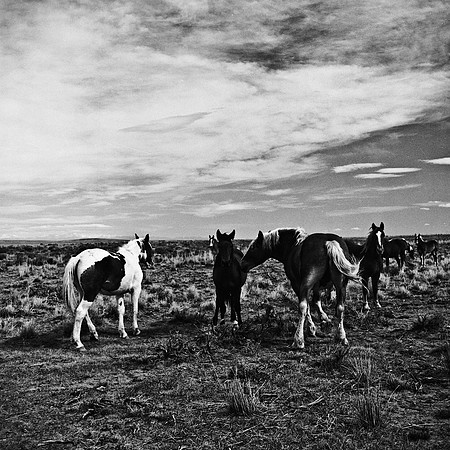 6078_FM_BW_WY_05