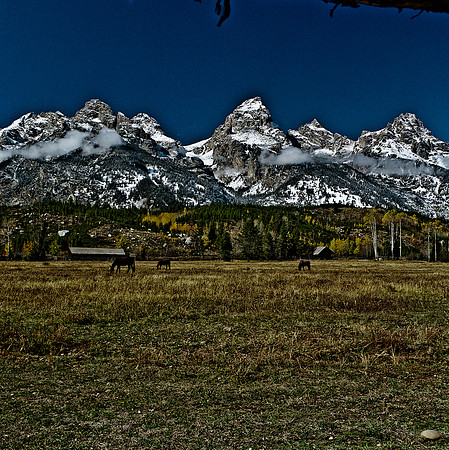 6074_FM_COLOR_WY_05_3