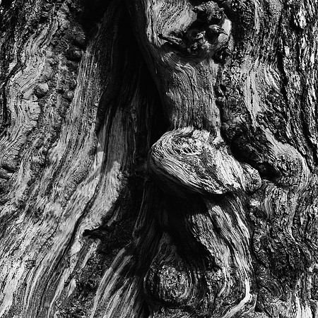 6069_FM_BW_WY_05_11