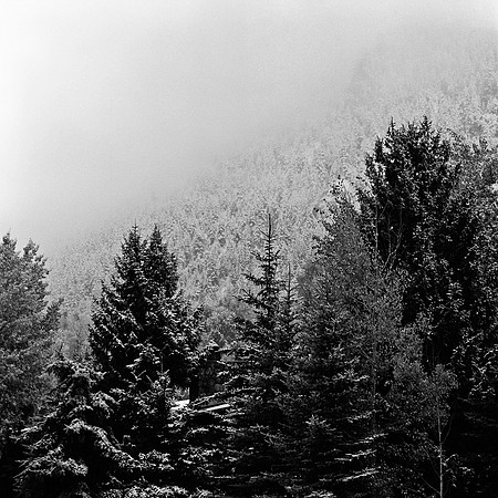 6082_FM_BW_WY_05