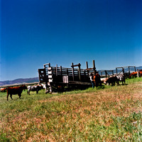 2406_FM_COLOR_SEATTLE_WA_02_5.jpg
