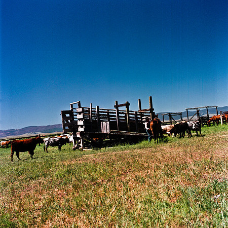 2406_FM_COLOR_SEATTLE_WA_02_5.jpg