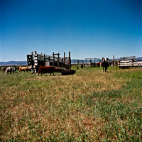 2406_FM_COLOR_SEATTLE_WA_02_4.jpg