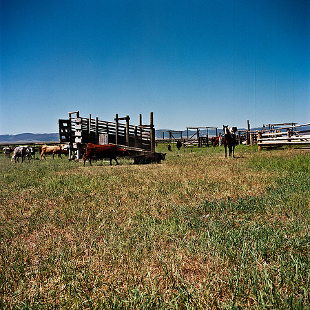 2406_FM_COLOR_SEATTLE_WA_02_4.jpg
