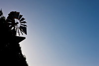 0024_DG_St_Helena_Napa_CA_USA_2009_5L8Y0010