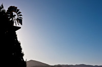 0024_DG_St_Helena_Napa_CA_USA_2009_5L8Y0009
