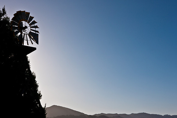 0024_DG_St_Helena_Napa_CA_USA_2009_5L8Y0009