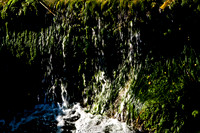 36166_DG_Color_USA_Nassau_Bahamas_Related_GroupNassau_Bahamas_ZV4N3390