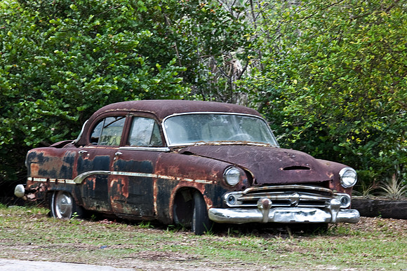 2528_EVERGLADES_MIAMI_FLORIDA_200903016_5L8Y2925