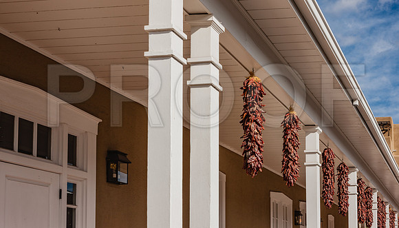 20081020_Santa_Fe_NM_5L8Y8279