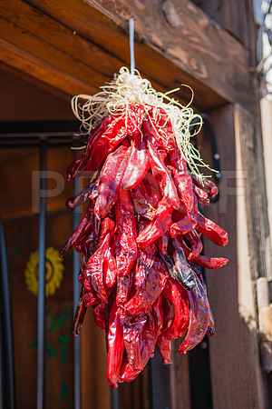 20081020_Santa_Fe_NM_5L8Y8164