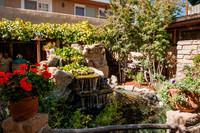 20081020_Santa_Fe_NM_5L8Y8173