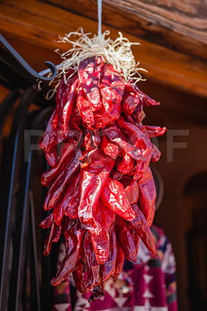 20081020_Santa_Fe_NM_5L8Y8163