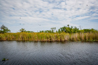 20080321_Sanibel_Island_FL_ZV4N6641