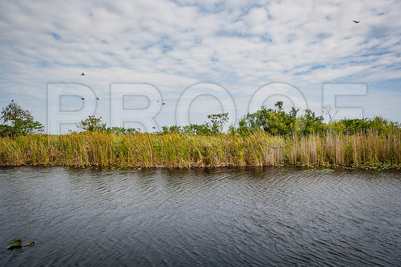 20080321_Sanibel_Island_FL_ZV4N6641
