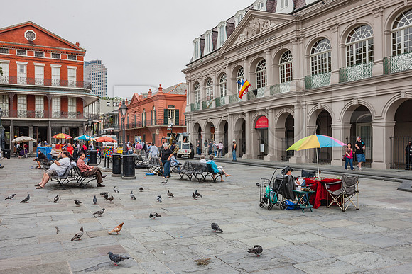 20081024_New_Orleans_LA_5L8Y0331
