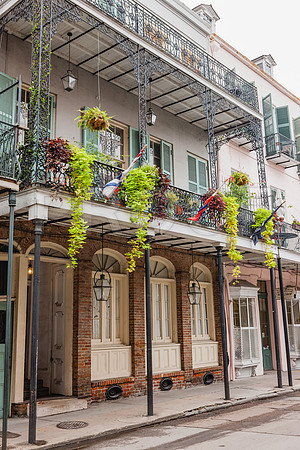 20081024_New_Orleans_LA_5L8Y0318