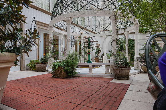 20081024_New_Orleans_LA_5L8Y0465