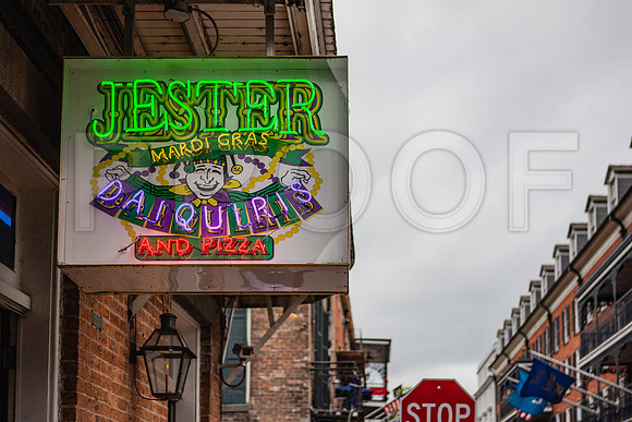 20081024_New_Orleans_LA_5L8Y0416
