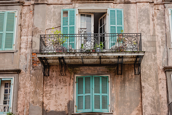 20081024_New_Orleans_LA_5L8Y0448