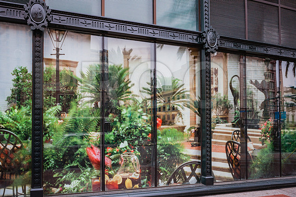 20081024_New_Orleans_LA_5L8Y9734