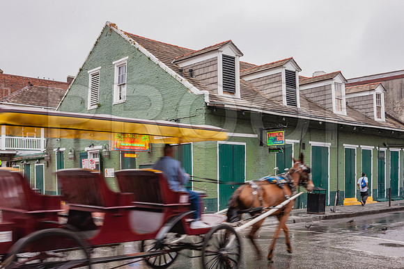 20081024_New_Orleans_LA_5L8Y0078